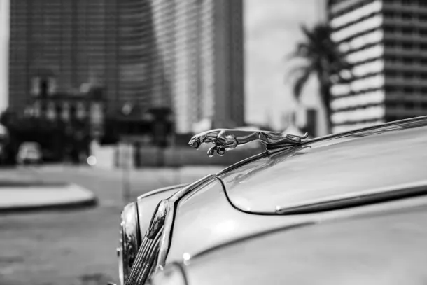 カジノ エクストラ Android/iOS アプリ